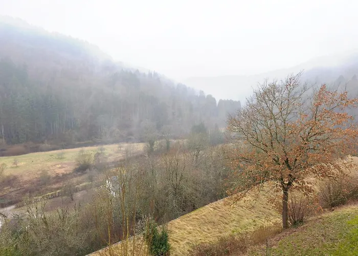 Appart hôtel Chateau - Schloss 4*